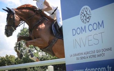 Dom Com Invest partenaire du Repentigny Jump